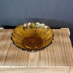 Indiana Iridescent Daisy sunflower